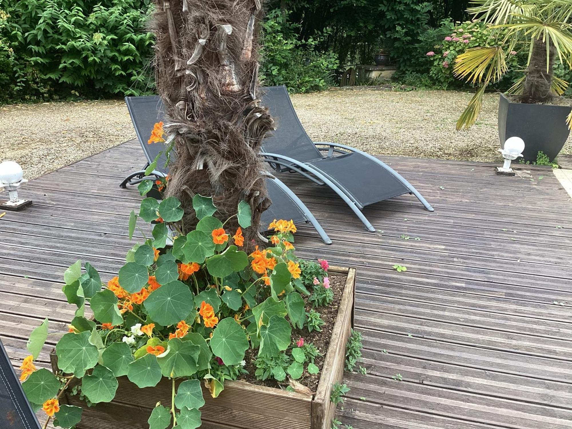 Le Lavoir Panzió Châteauroux Kültér fotó